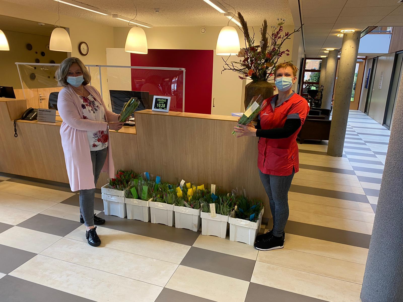 Tulpen voor Kamper Verzorgingshuizen