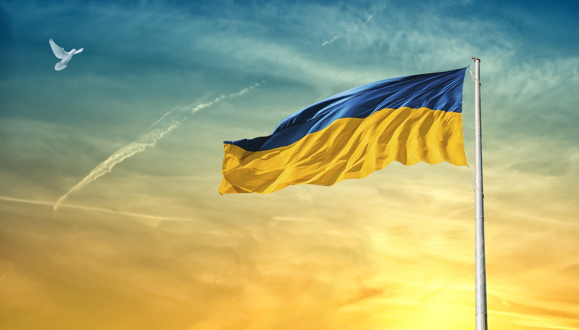 Samenwerkende Kamper kerken in actie voor Oekraïne