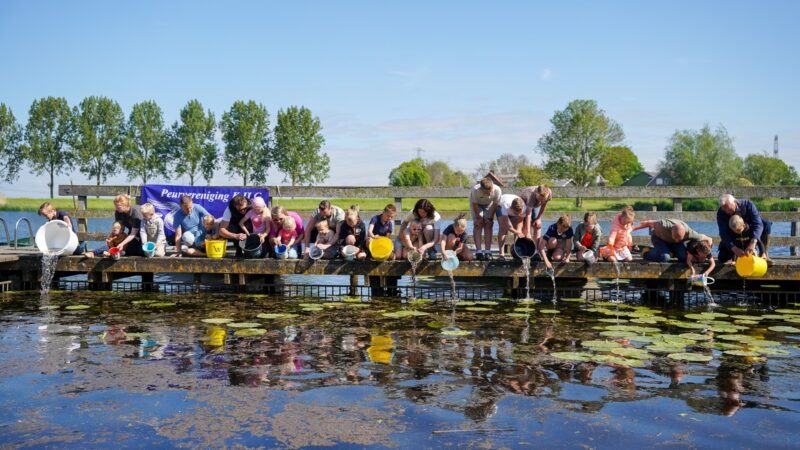 Vrijwillige uitzet van 30.000 jonge palingen in IJsselgebied draagt bij aan herstel palingstand