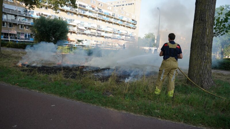 Brandweer voorkomt uitbreiding van grasbrand aan Jan Ligthartstraat