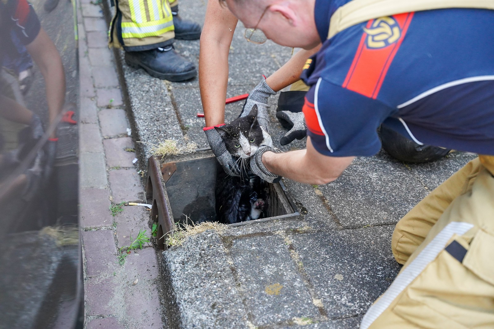 Brandweer redt kat uit benarde positie