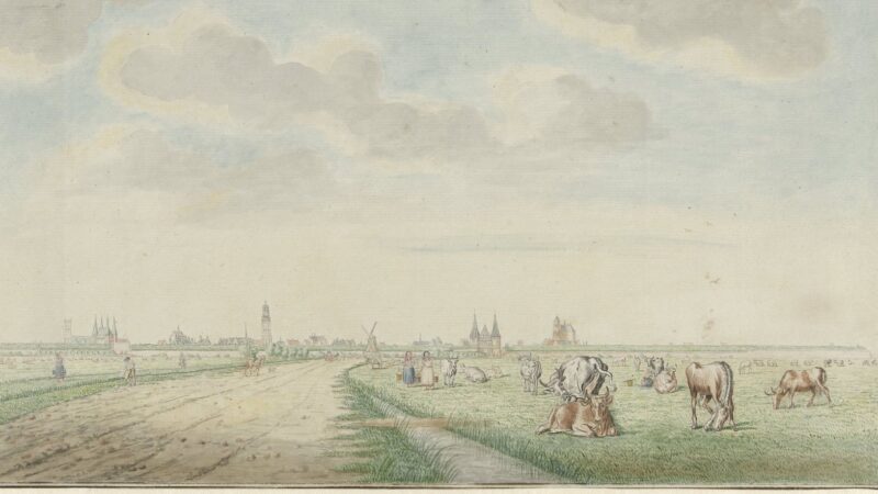 Kunstproject Stommen van Kampen