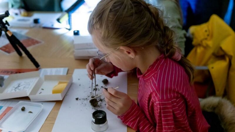 Nacht van de Nacht: familiefestival in het donker!