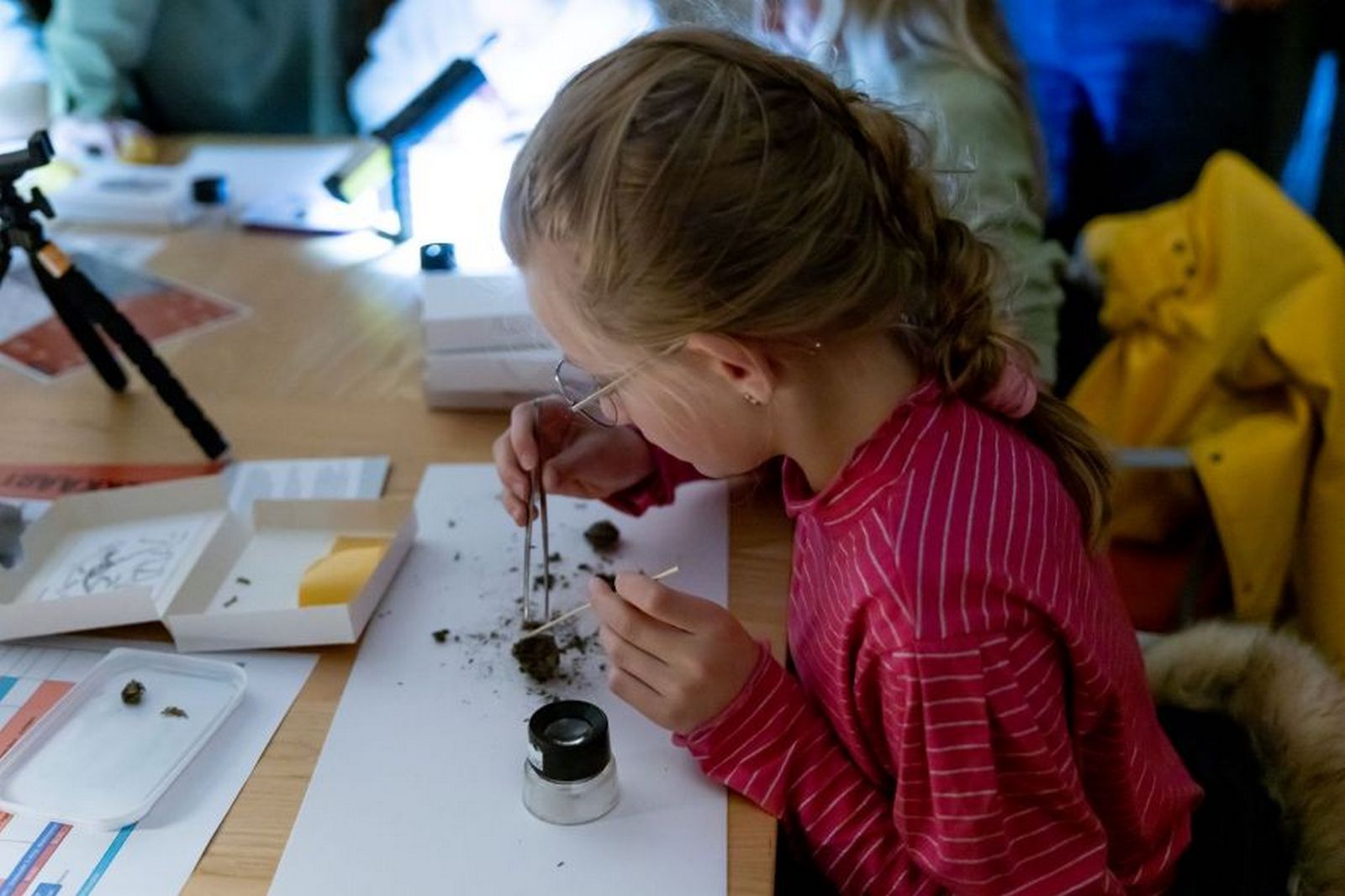 Nacht van de Nacht: familiefestival in het donker!