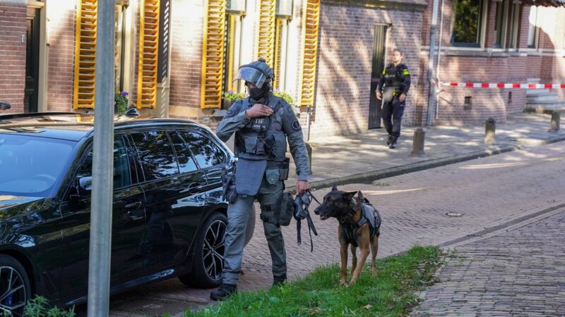 Kogelwerende vesten en DSI bij politieactie op Panjanplein